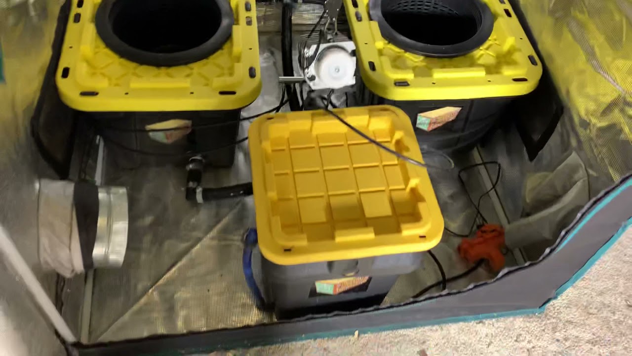 Reset & Round 2 for the Root Box Hydroponics RDWC!!!