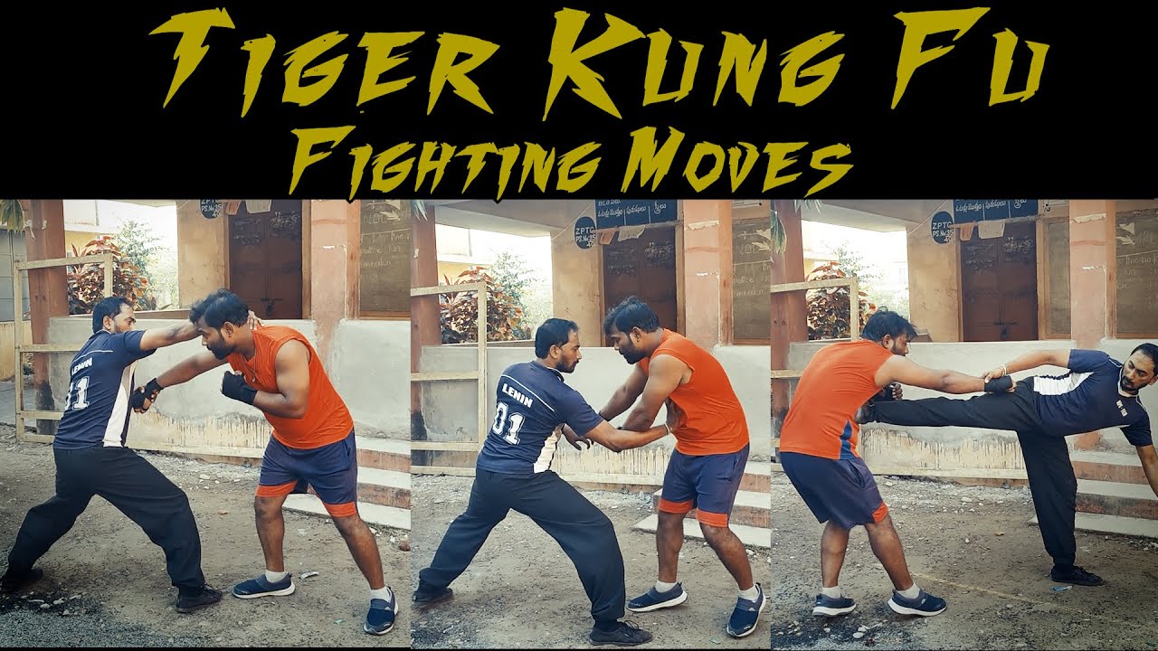 Shaolin Tiger Fist | Tiger Kung Fu movements | Fight Like Tiger Style Kung Fu |Tiger KungFu vs Wushu