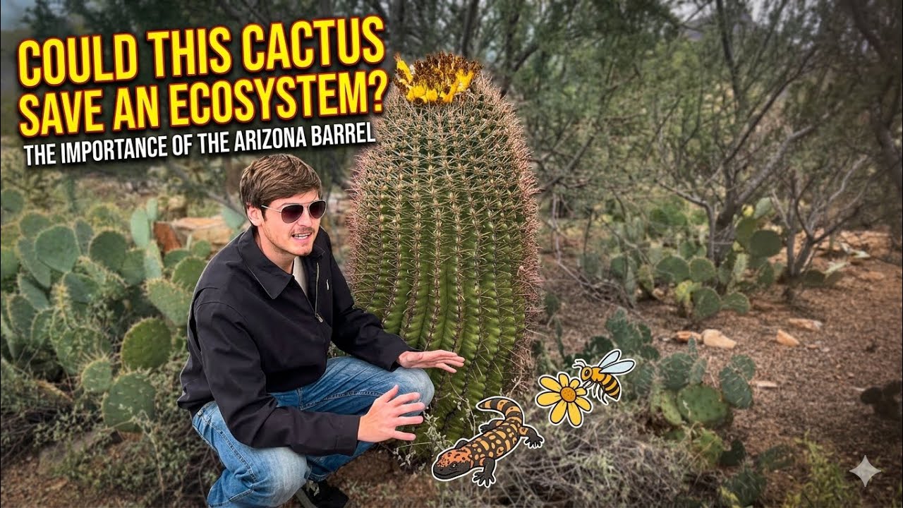 Plant of the Day: Ferocactus wislizeni (Southwestern Barrel Cactus)