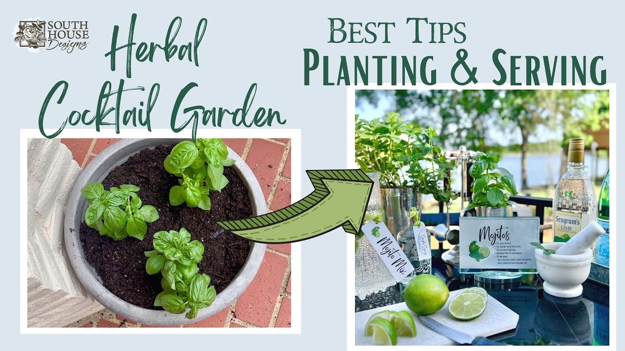 Herbal Cocktail Garden - Best Tips for Planting to Serving