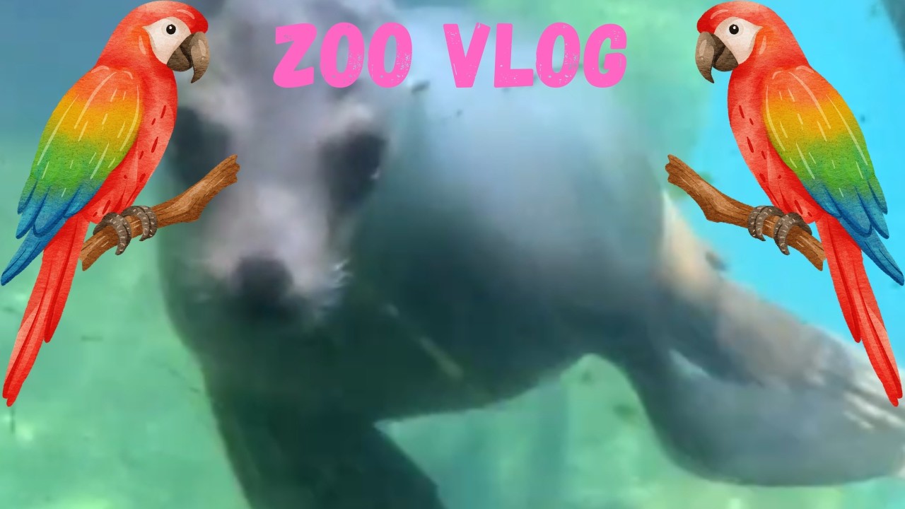 zoo vlog