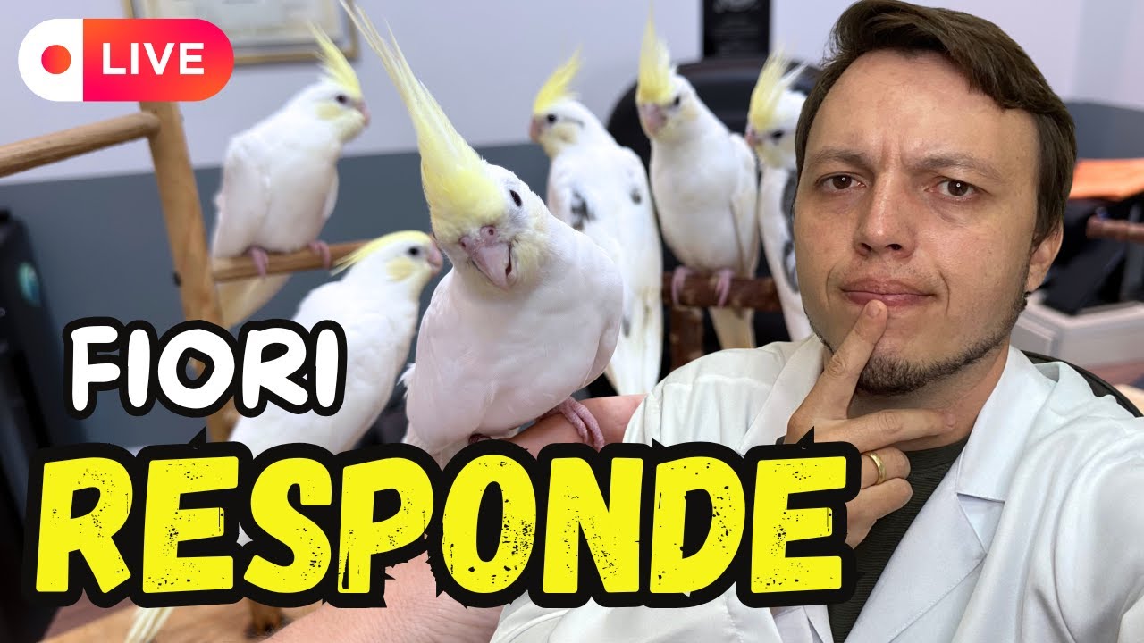 FIORI RESPONDE - 18/03 📱
