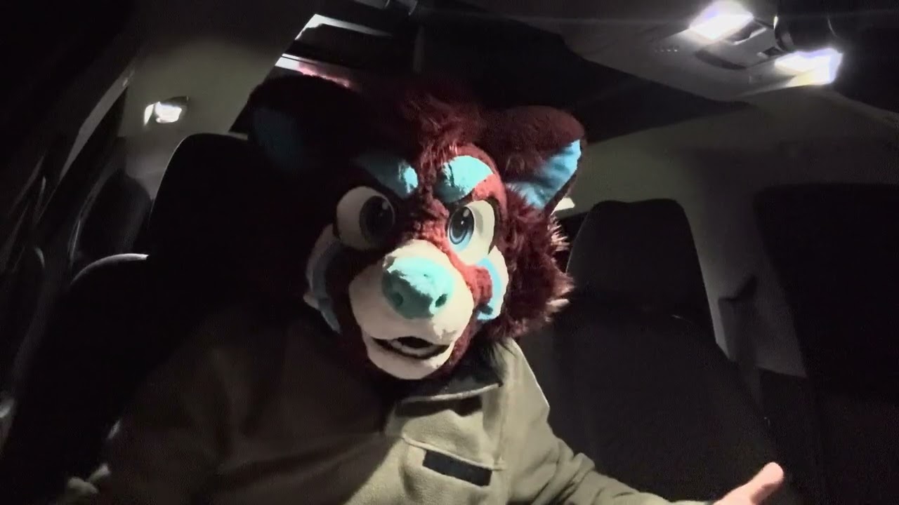 So I’m a Furry - Part 3: Heading Home from the Con