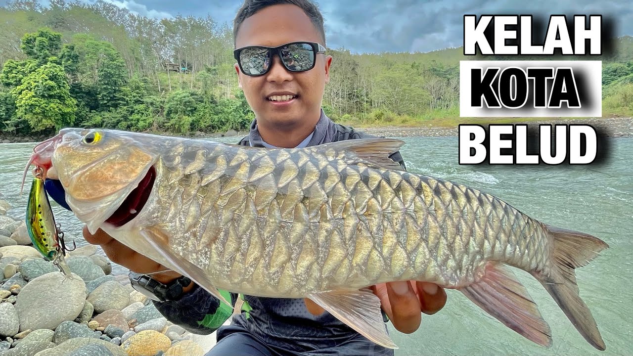 Casting Ikan Kelah Sabah / Pelian Di Bombon Casting Pelian Kota Belud