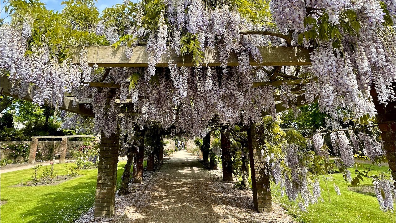 Howard Davis Park, Jersey