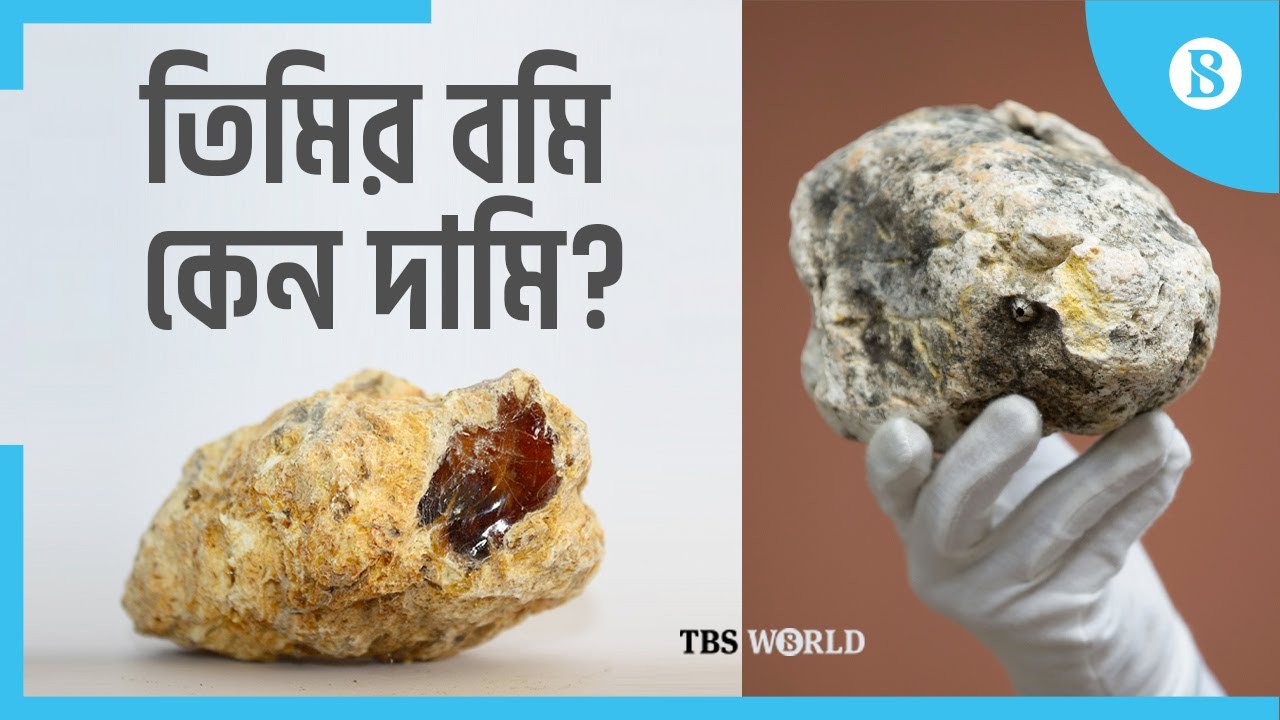 তিমির বমি কেন ভীষণ দামি, জানলে অবাক হবেন! | Ambergris | The Business Standard