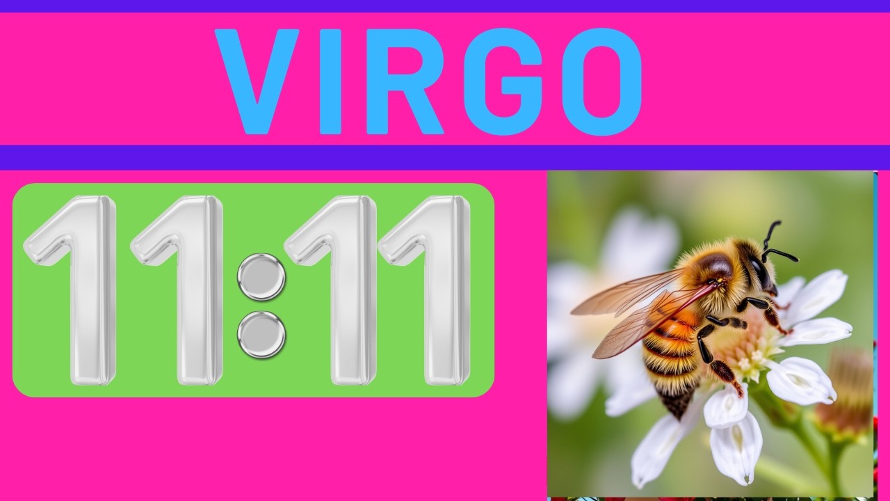 BRUTAL VIRGO TE BUSCAN TE ELIGEN  TU OPORTUNIDAD LLEGA ♥️‼️🍀🍁🎯💸ORACULO TAROT DE CRIS HOROSCOPO