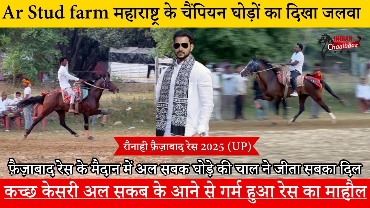 Ar Stud farm महाराष्ट्र के घोड़े कच्छ केसरी अल सकब के आने से गर्म हुआ रेस का माहौल #FaizabadRace2025