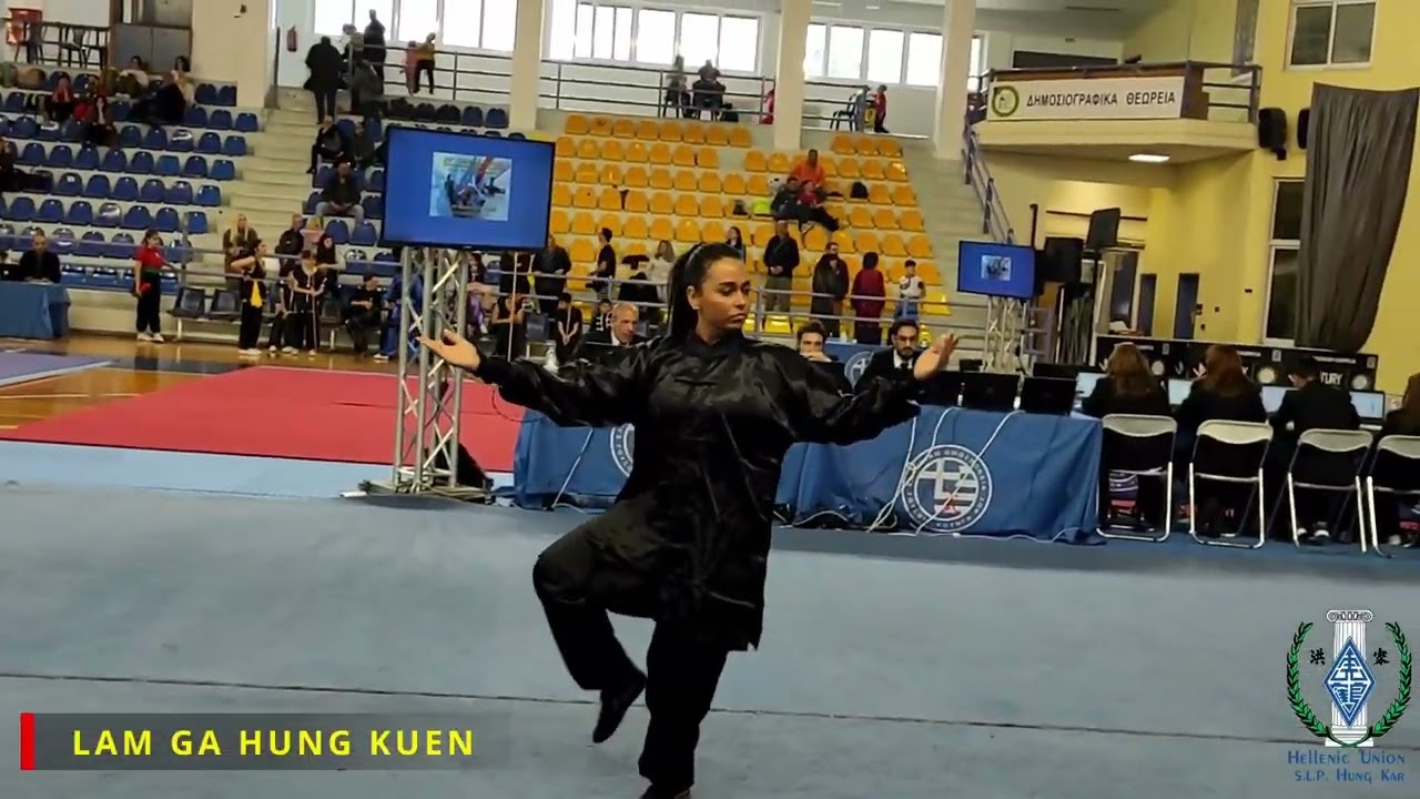 TAI CHI - 25TH PANHELLENIC WUSHU KUNG FU COMPETITION 2025