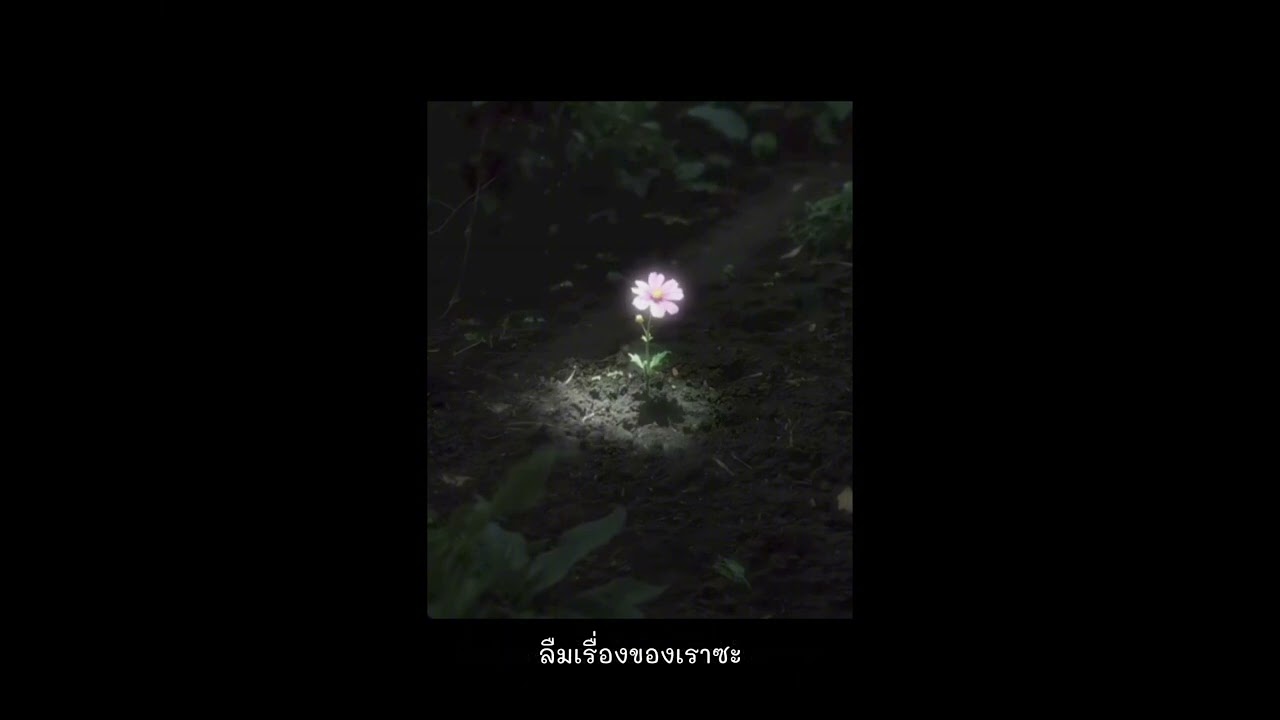 ไม่เคยจะลืม - BABYMY (Prod.bezimeni music)[Official Video]