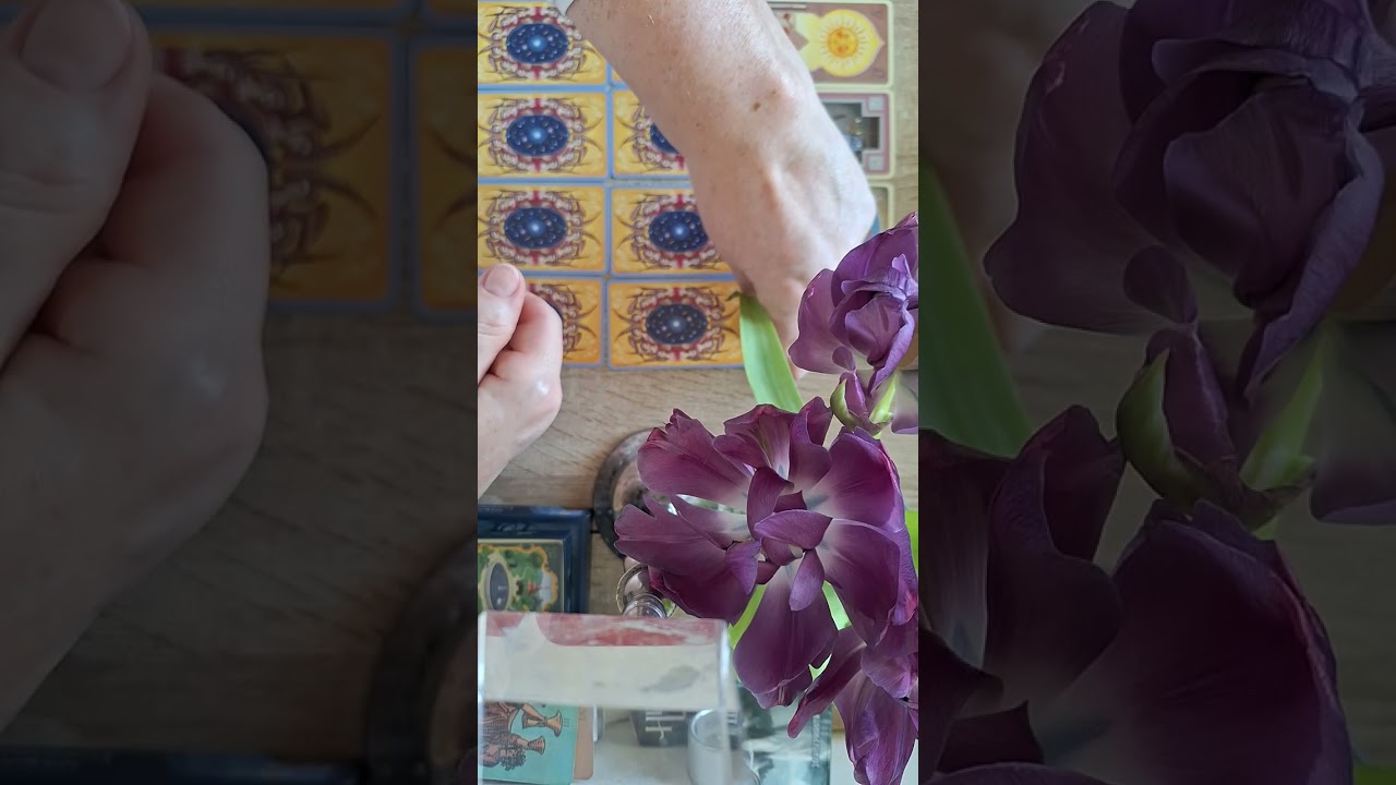 Jauno mėnulio tarot. Įžvalgos Zodiako ženklams.