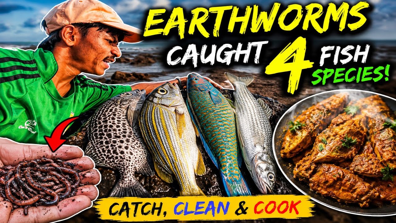 Goa Fishing Adventure at Dangerous Rocks | From Earthworms To a SeafoodFeast | Catch, Clean & Cook😍🎣