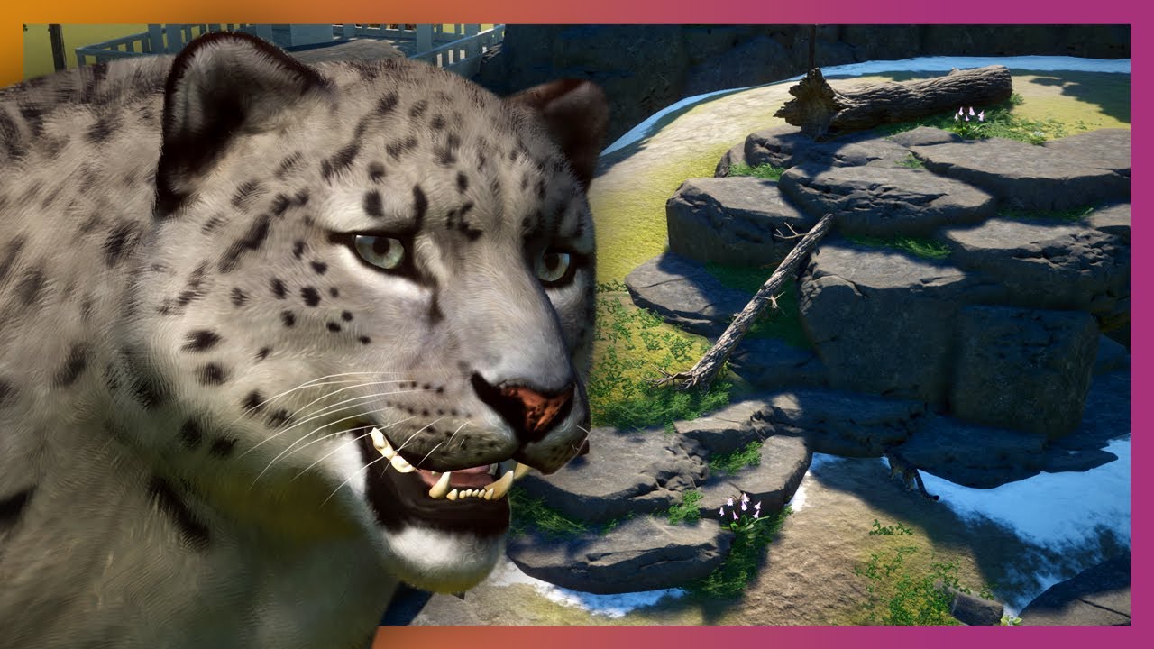 Snow Leopard Mountain Habitat | Planet Zoo Speed Build