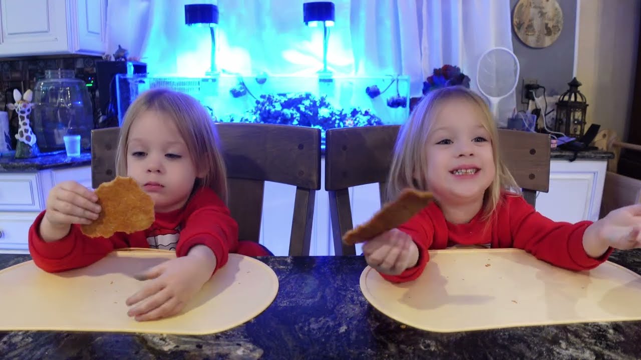 Twins try Korean croissant 