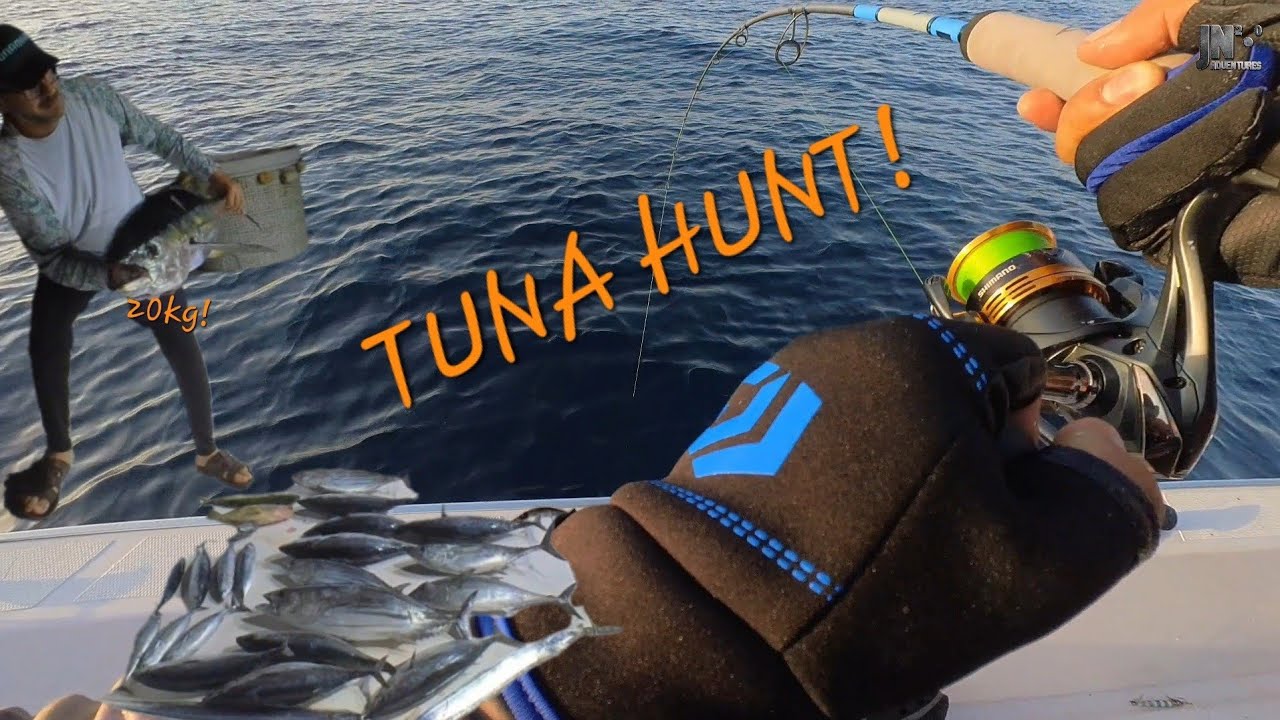 🎣 Tuna Hunt in Fujairah, UAE! | 20kg Yellowfin & Skipjack Tuna Catch 🌊🐟