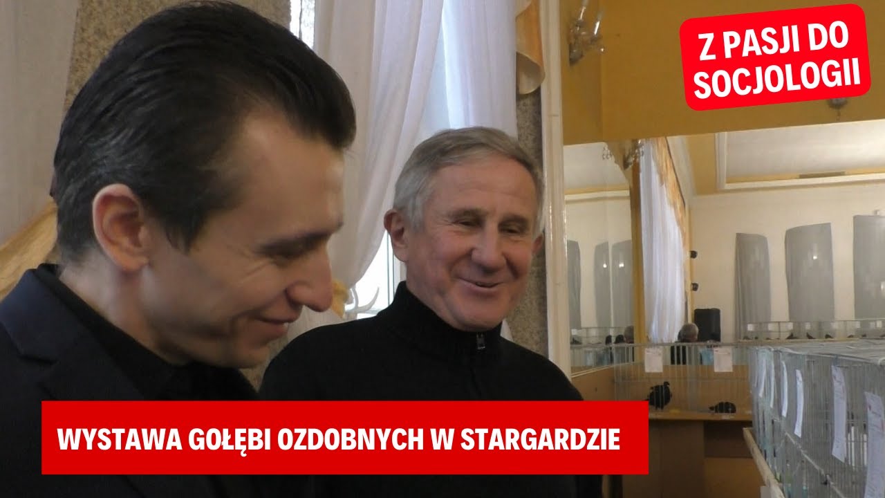 Wystawa Gołębi Ozdobnych w Stargardzie - Socjologia