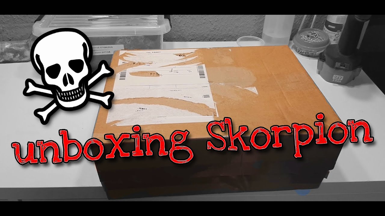 Unboxing Scorpion - Gefährlich! #skorpion #scorpion #unoxing