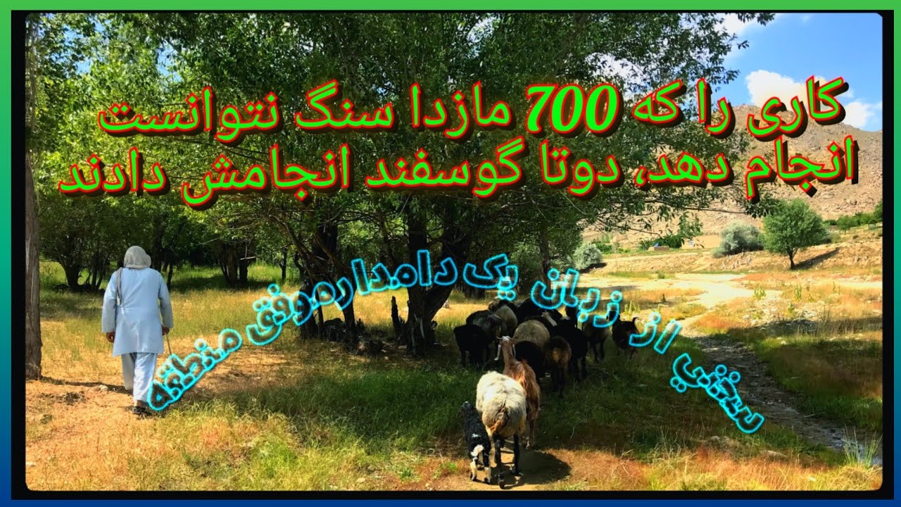 از تجربیاتش برای ما گفت، مالدار که  از گذشته اش برای برای ما می گوید، از کارگری تا مال داری ، .