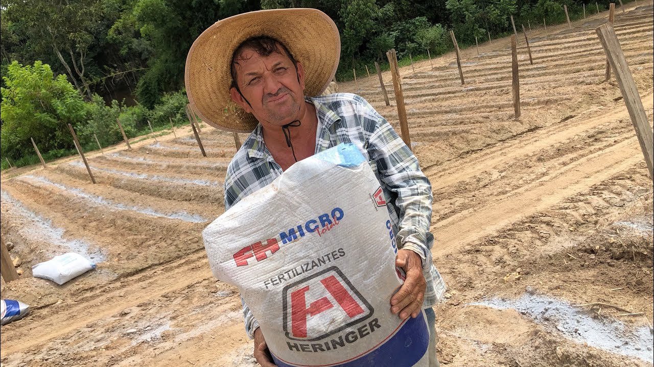EXPLICAÇÃO SOBRE A ADUBAÇÃO ANTES DO PLANTIO DE TOMATE!!!