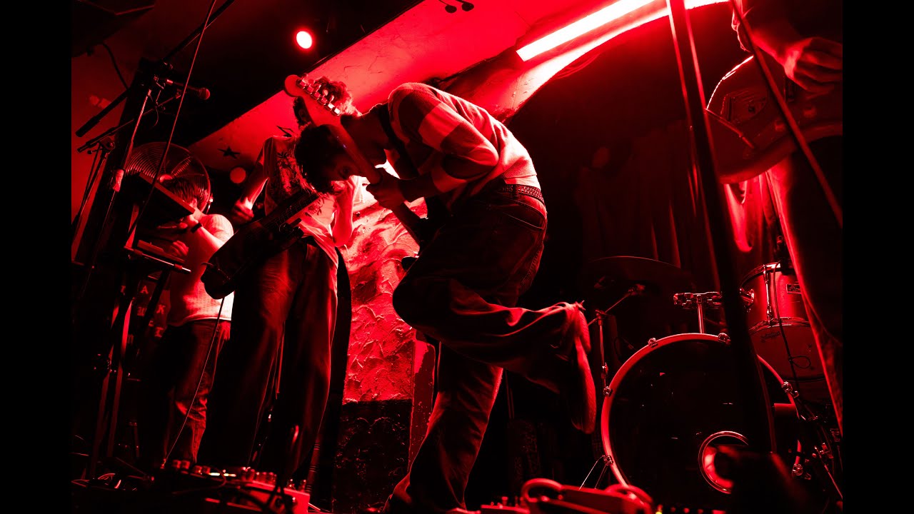 Dogs | Live at the Shacklewell Arms