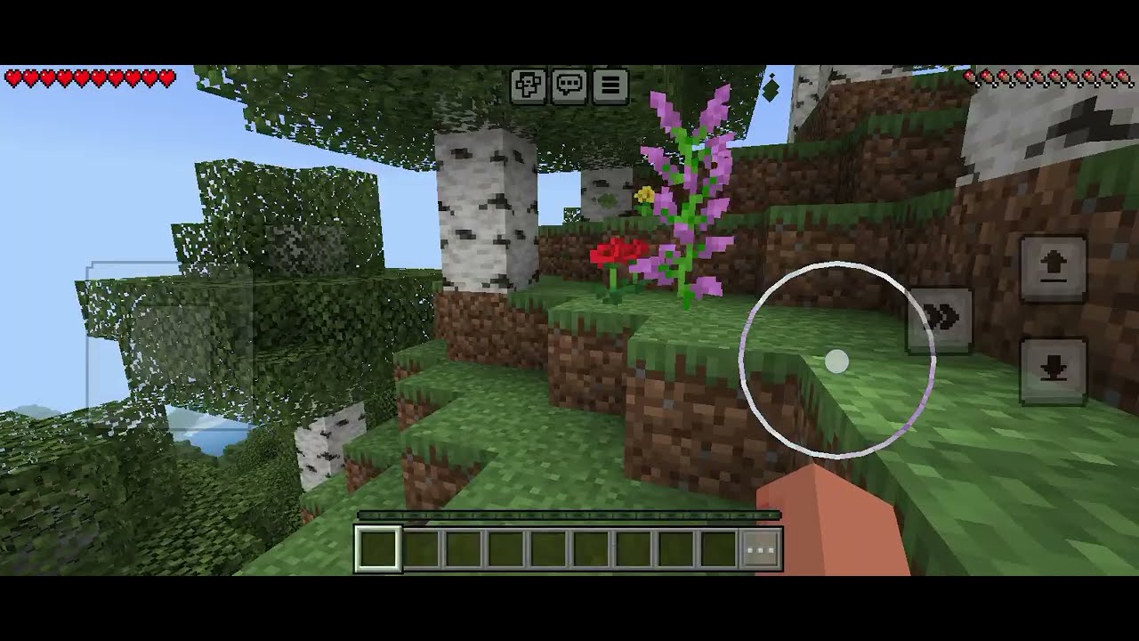 Minecraft game first time Play
