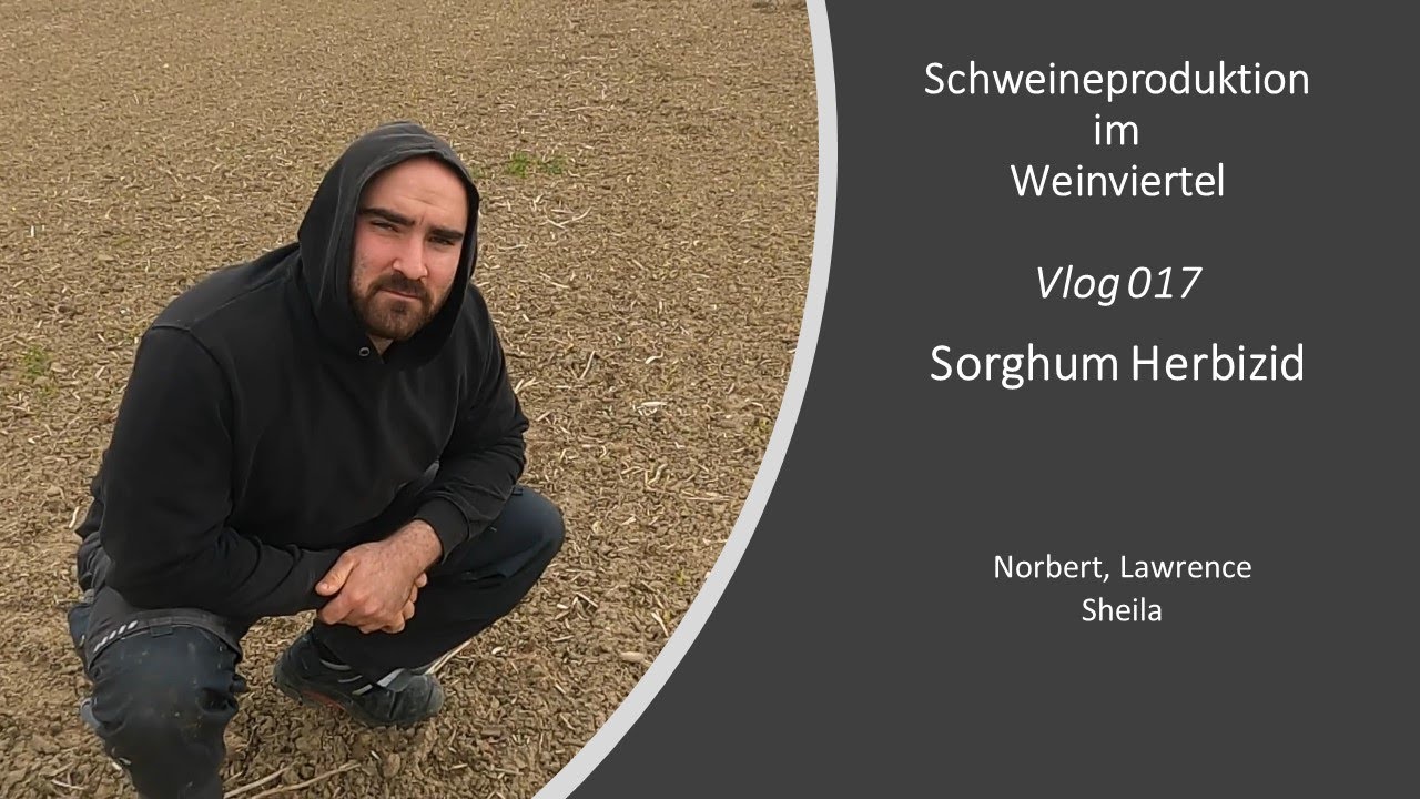 Vlog017 Sorghum Herbizid