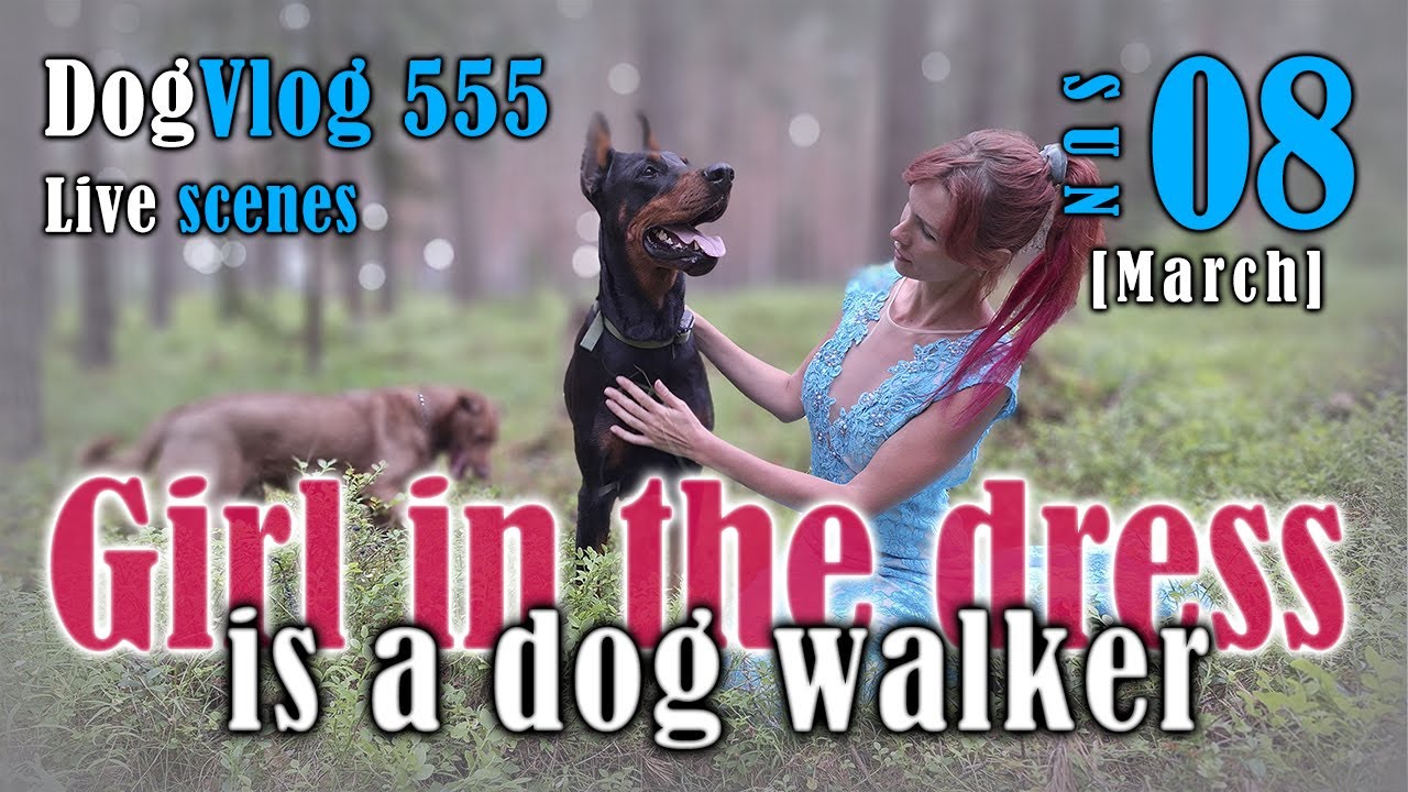 She traded Spotlight for Leashes | Walk with Famous Actress who became Dog Walker #dogwalkerlife 