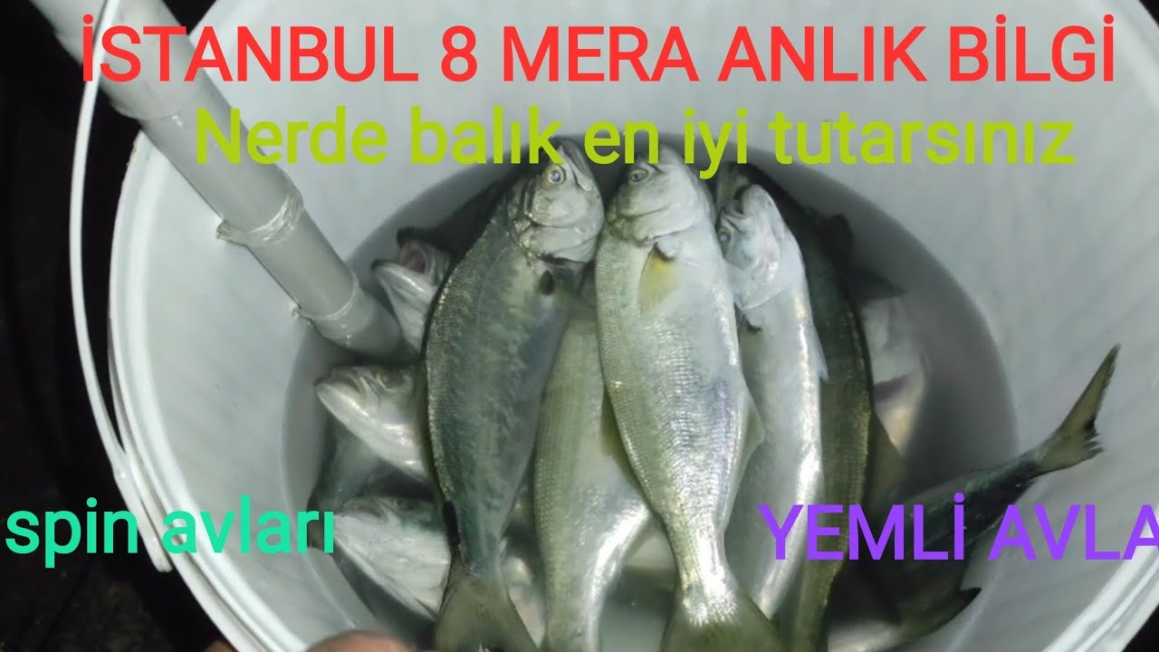 İSTANBUL SEKİZ MERA !! KIYIDAN LÜFER , ÇİNEKOP, SARIKANAT YEMLİ VE SPİN AVLARI !!!
