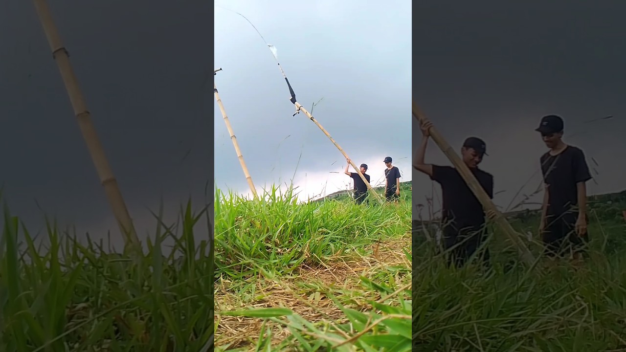 kolecer gunung sabri #kolecer