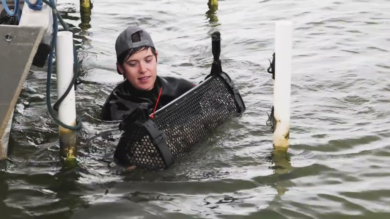 Our Work Seminar - Oyster Research Biology