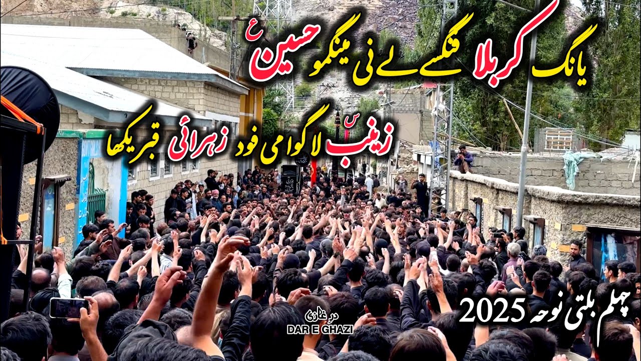 Yang Karbala Fangse Ly Ni Mingmo Hussain a.s | Markazi Matami Dasta | Chehlum 2025/1447