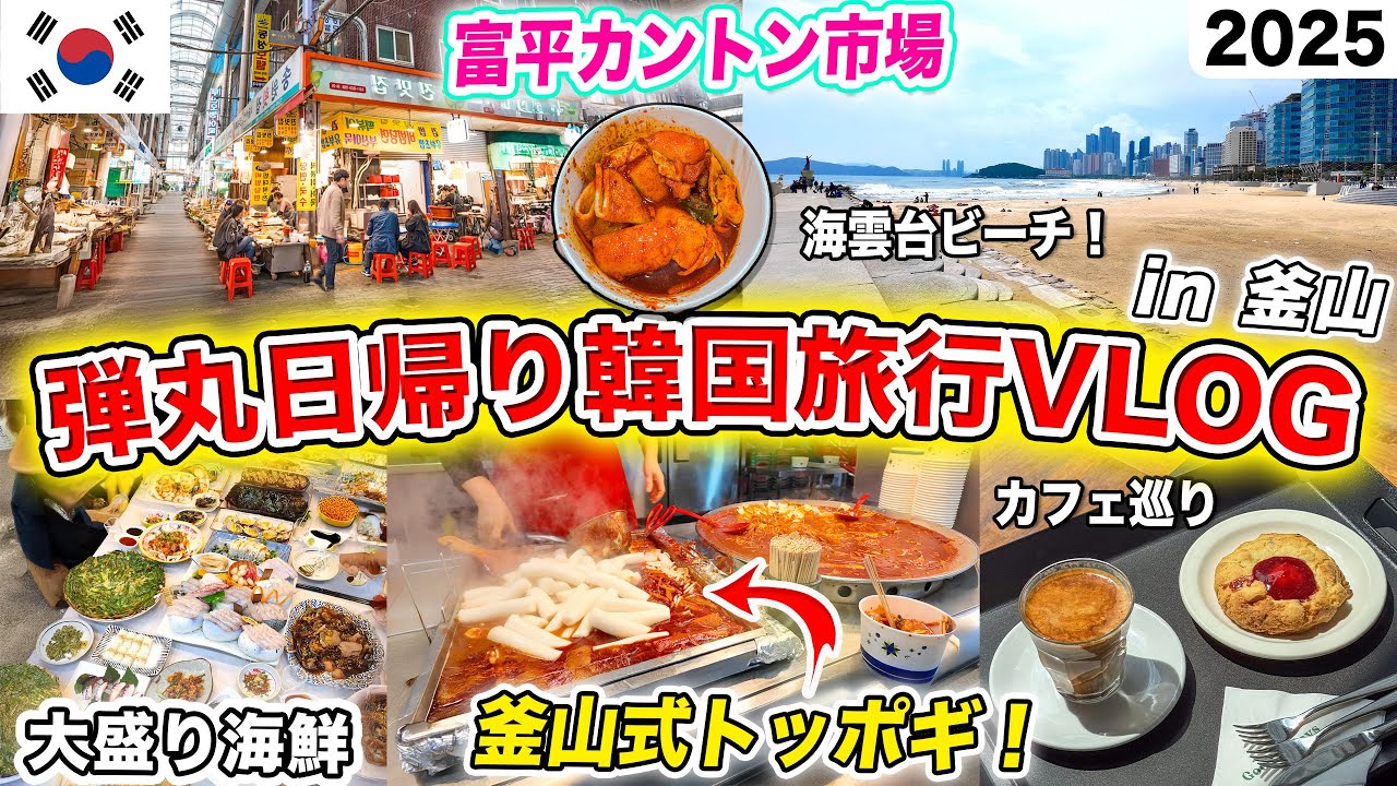 【弾丸日帰り韓国旅行🇰🇷】市場からおすすめビーチまで‼️釜山の観光モデルコース、1日で巡る穴場スポット｜カフェ巡り、富平市場、釜山トッポギ、百貨店、韓国人しかいない海鮮レストラン｜2026年最新