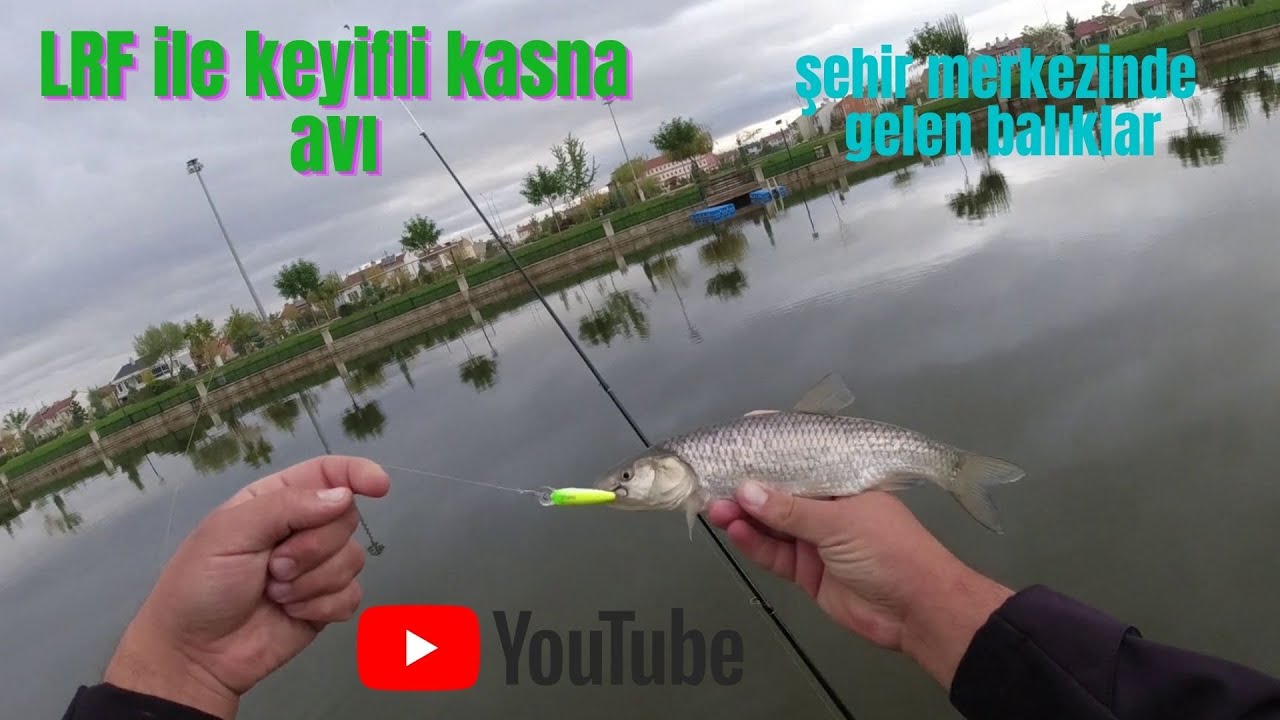 ŞEHİR MERKEZİNDE LRF İLE KASNA AVI!!! (MEPS vs MAKET YEM)