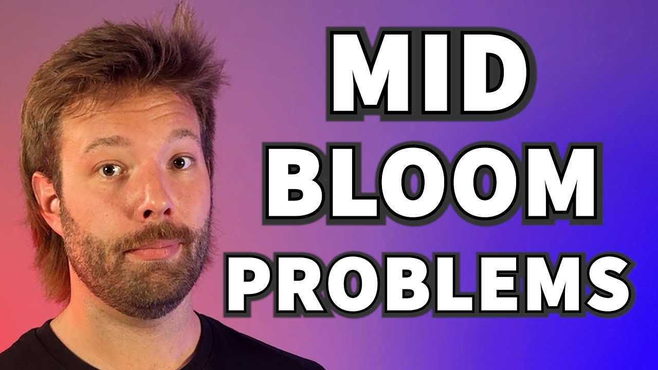 Avoid These Mid Bloom Issues Before It's Too Late! | Help finish your grow with these easy tricks