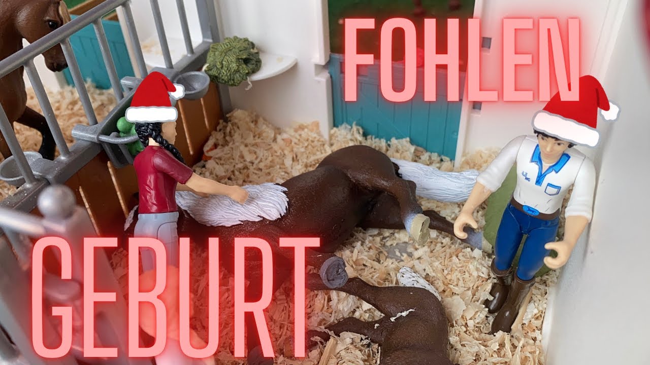 Die Fohlen Geburt 🐴🐎wird es ein M&auml;dchen?|| #schleich #schleichpferde #christmas 