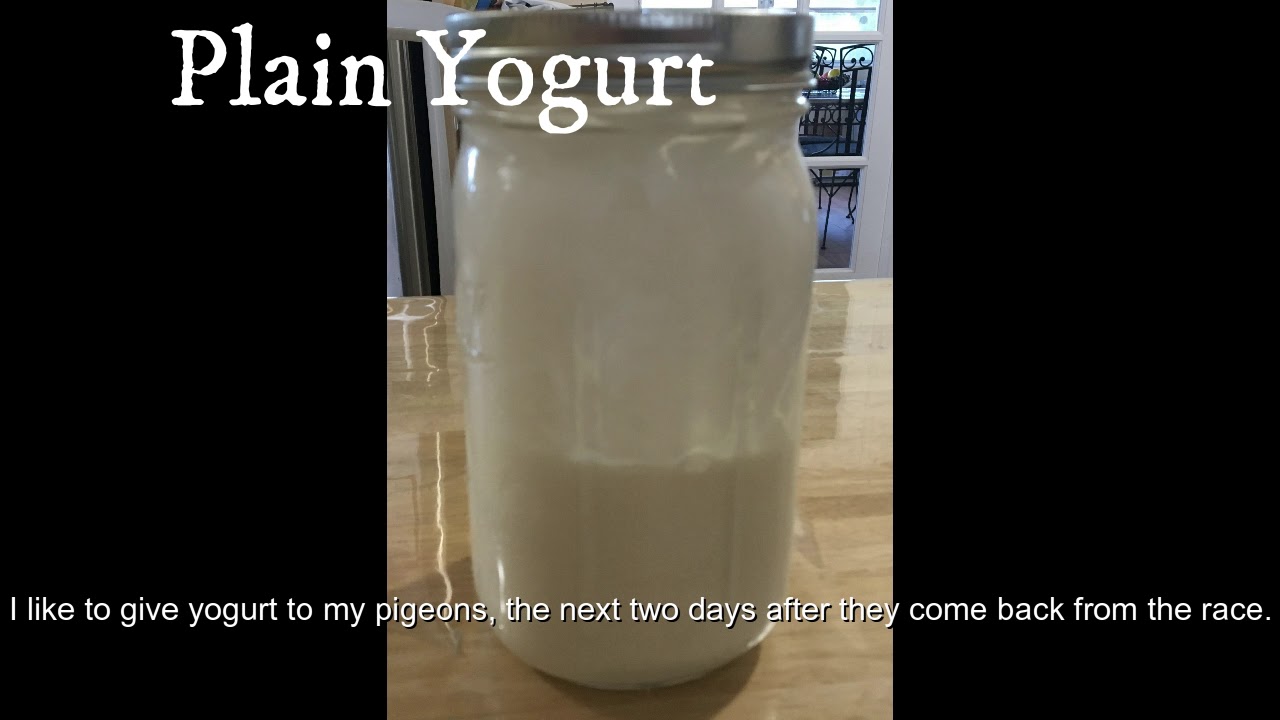 Tips to keep your pigeons healthy using natural remedies