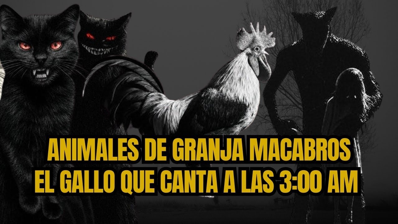Animales de Granja actuando como humanos. El cerdo deforme.