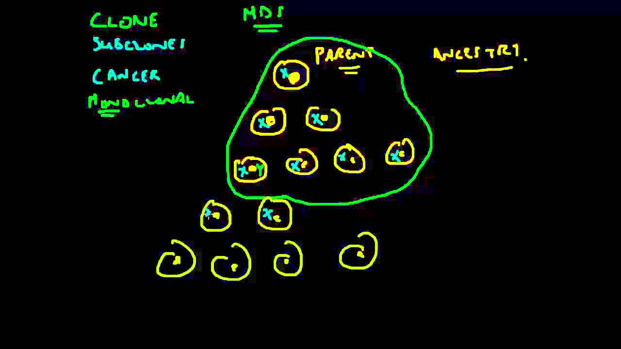 Cancer clones and Clonal Selection