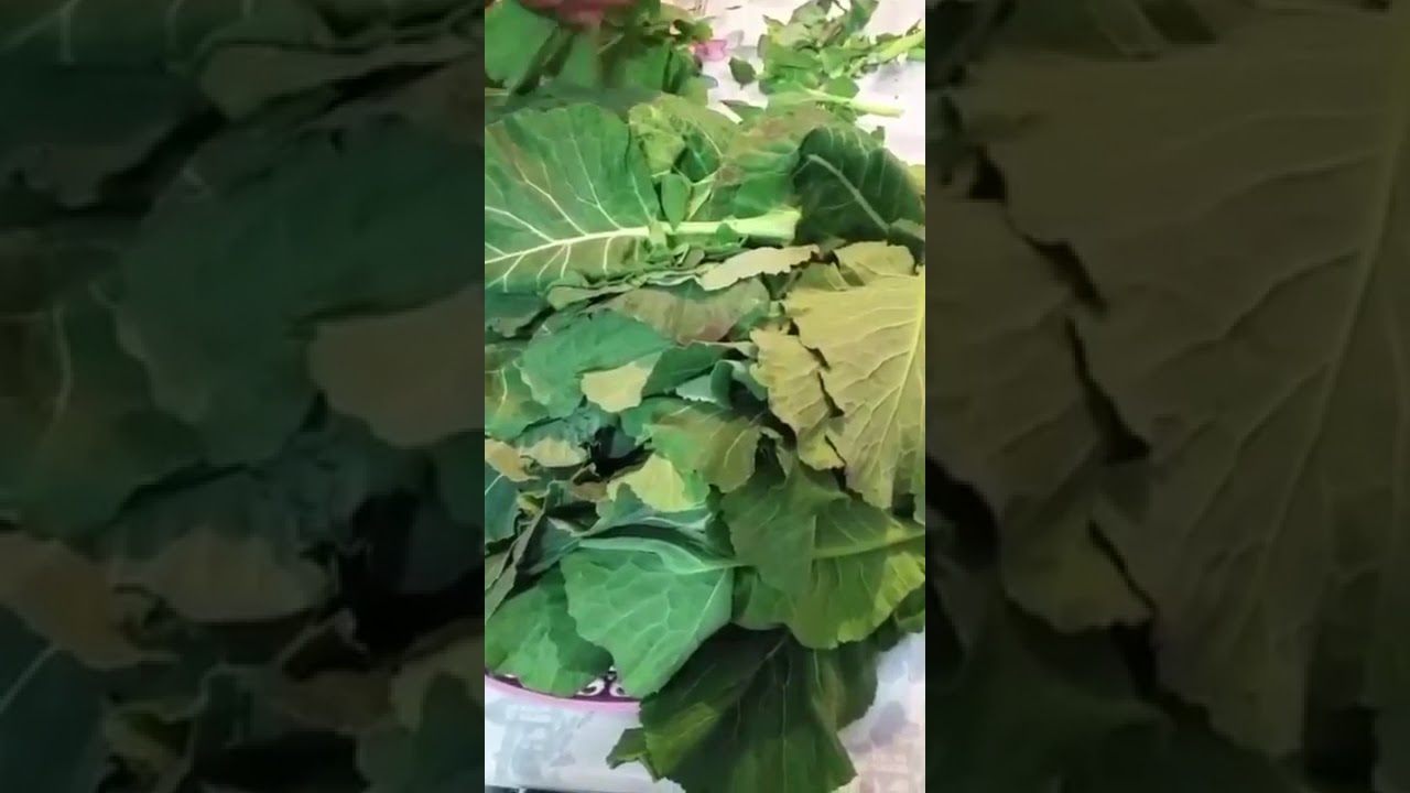KIŞTAN YAZA KARALAHANA NASIL SAKLANIR