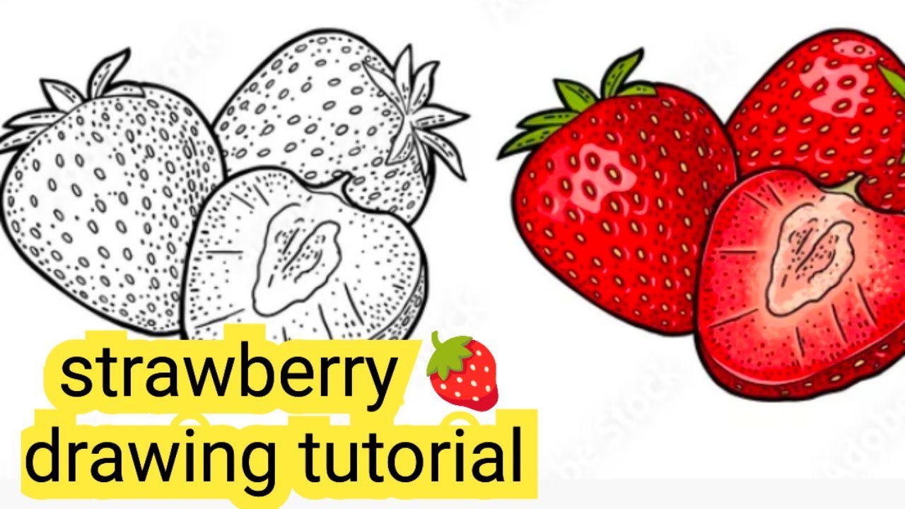 Strawberry 🍓 drawing easy pencil sketching & shading/ स्ट्रॉबेरी फल का रेखाचित्र 