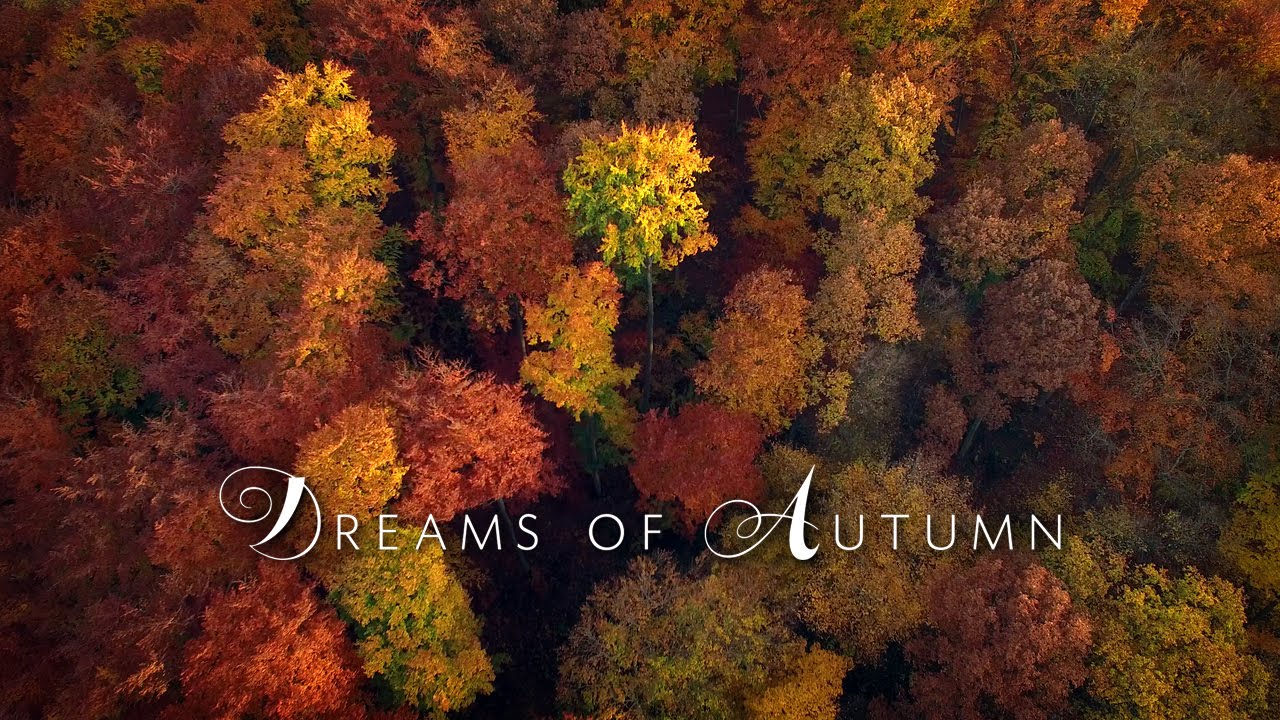 Dreams of Autumn in 4K60 | DJI Phantom 3 | FPV | 2016