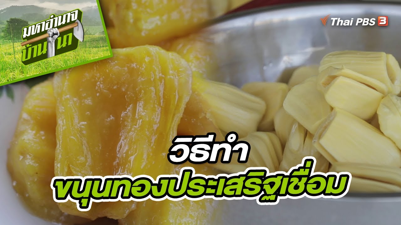 วิธีทำขนุนทองประเสริฐเชื่อม | สูตรลับฉบับบ้านนา  | มหาอำนาจบ้านนา