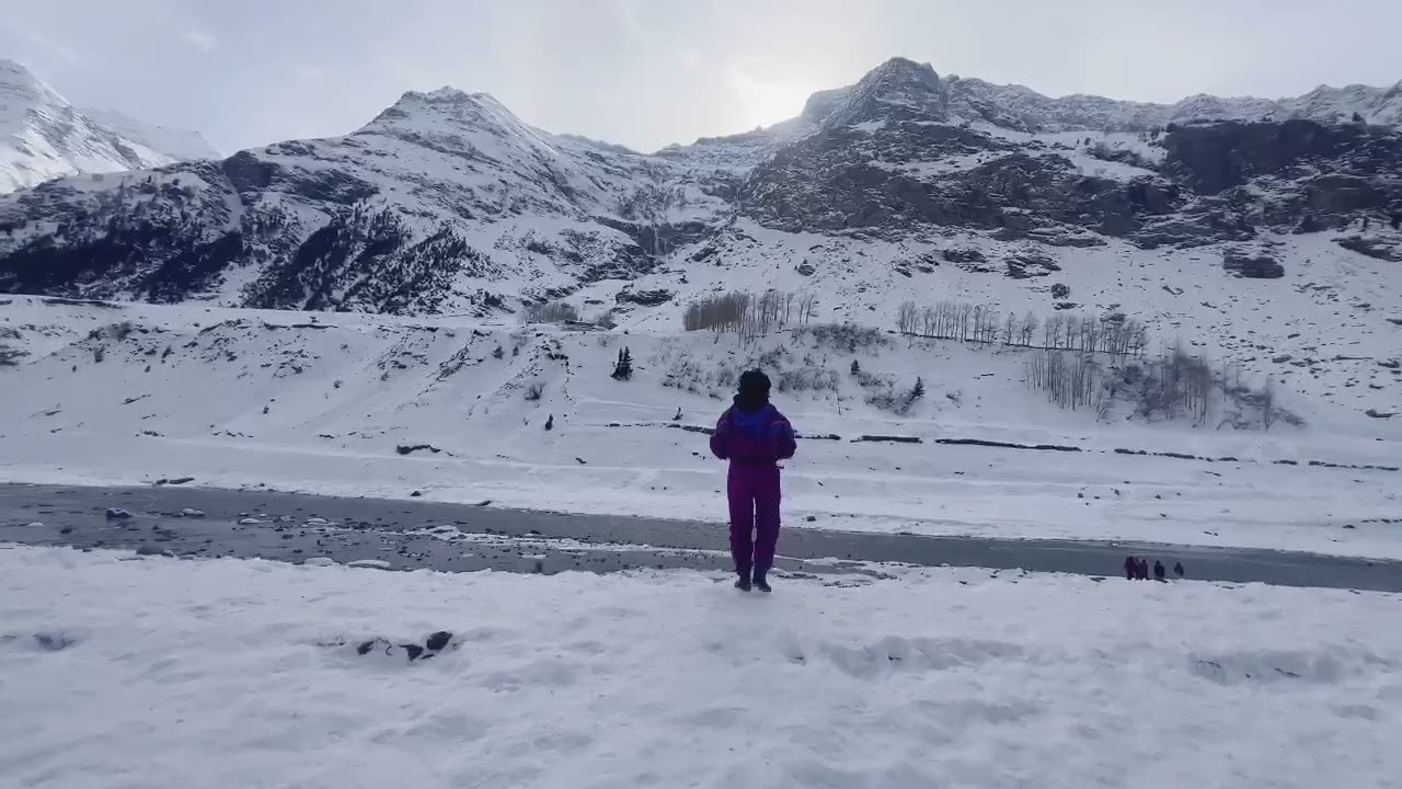 😎 bro#manali #himalayas #viral #travel #trending#srk #nature #snow #shorts 