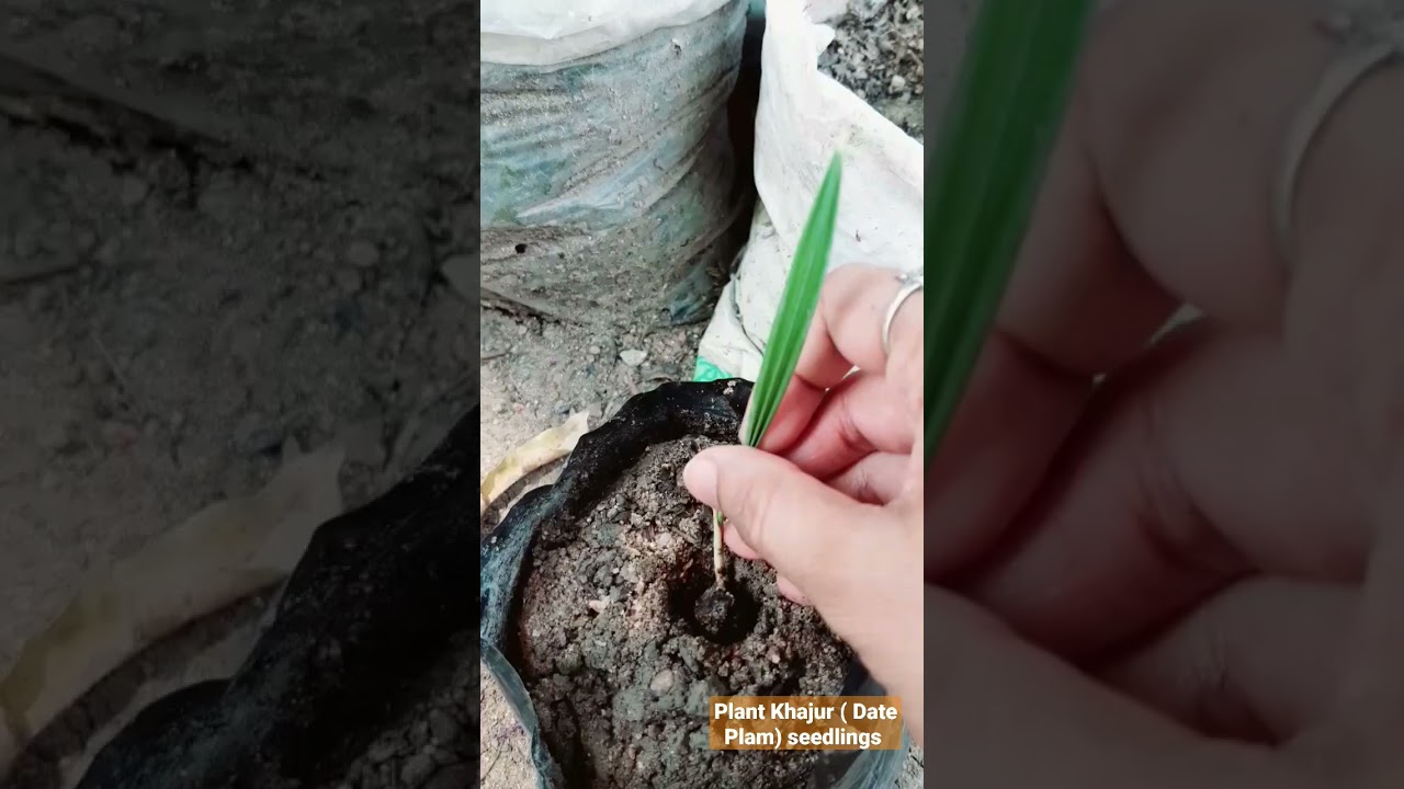 #Planting