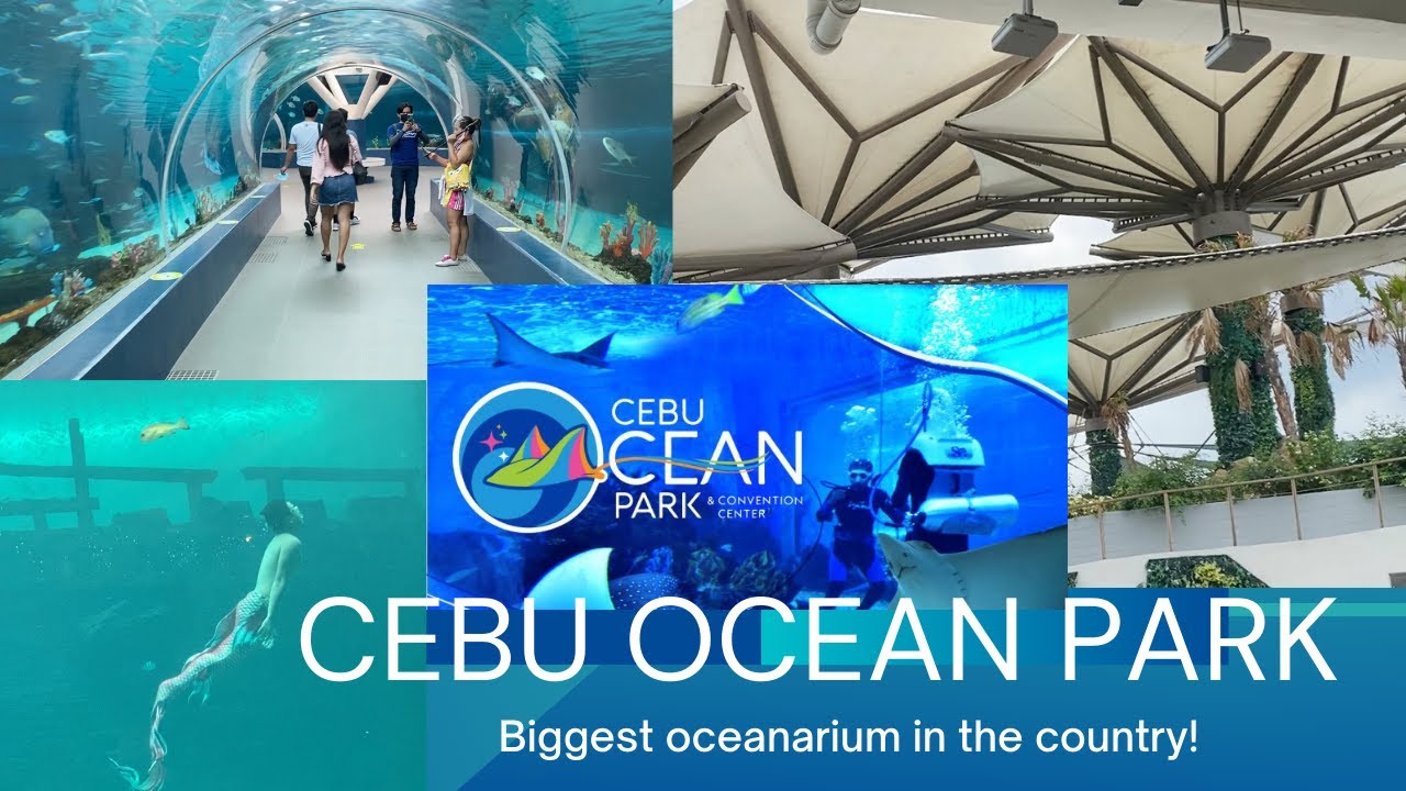 Cebu Ocean Park | Oceanarium | Travel Cebu | The New Normal