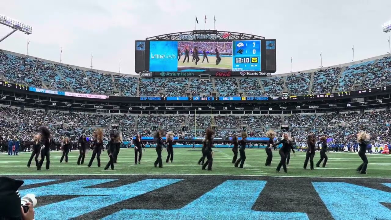 Carolina Panthers Cheerleaders TopCats- Squabble Up