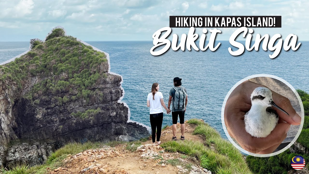 We Found A Stranded Bird While Exploring Tropical Kapas Island 🇲🇾