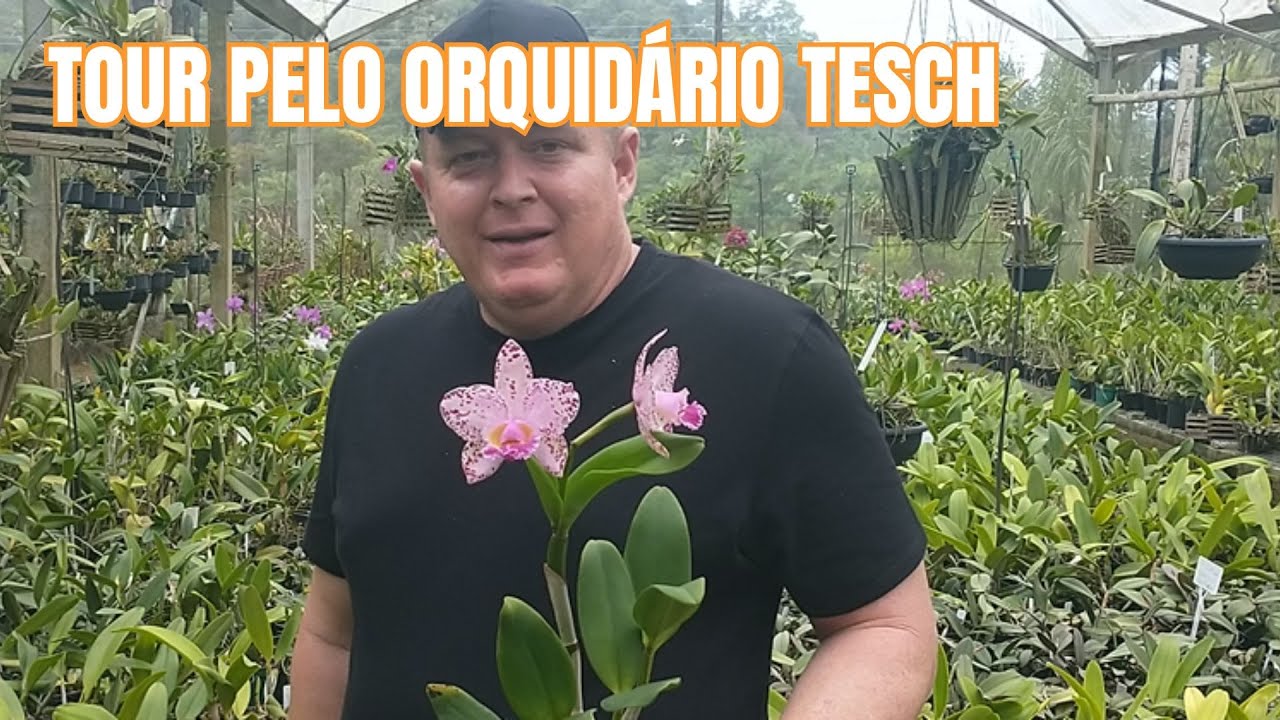 Mais um tour pelo orquidário!