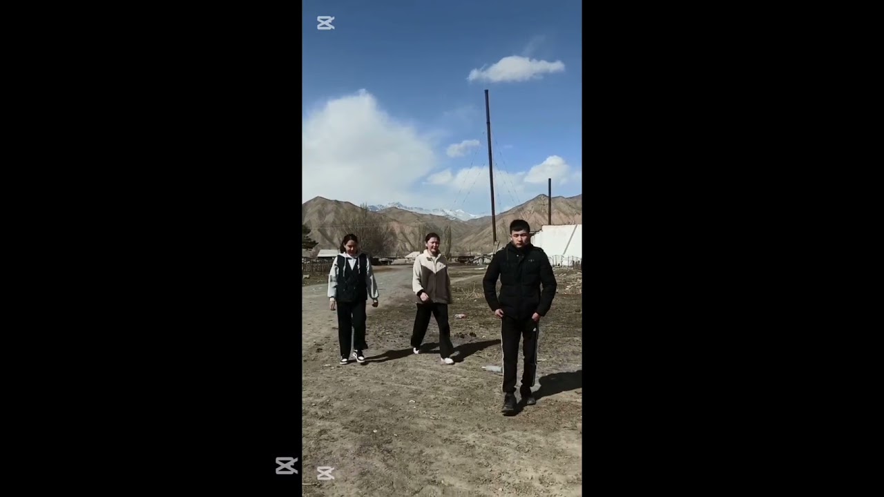 Полиэтилен баштыктардын зыяндуулугу жөнүндө видео роликтер