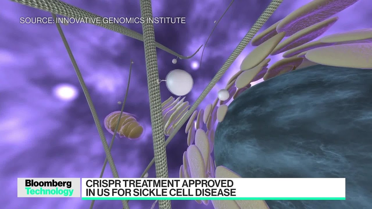 FDA Approves First Crispr Treatment for Sickle Cell Disease